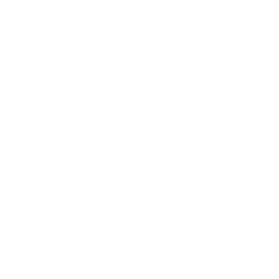 security icon