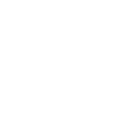 software application